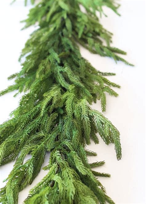 afloral real touch norfolk pine garland